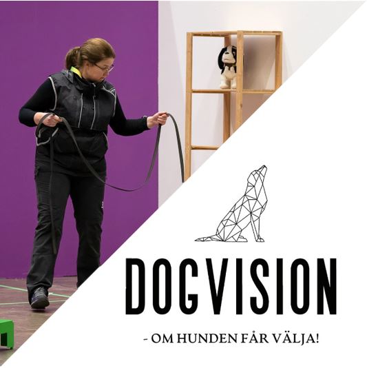 lotta - dog