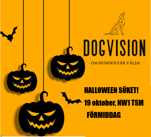 clearround halloween 1