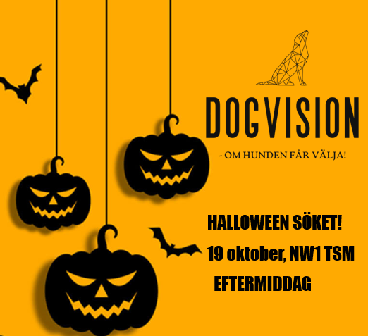 clearround halloween 2