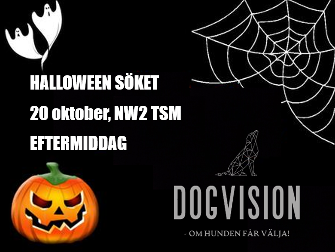 clearround halloween 3 (20 nw2)