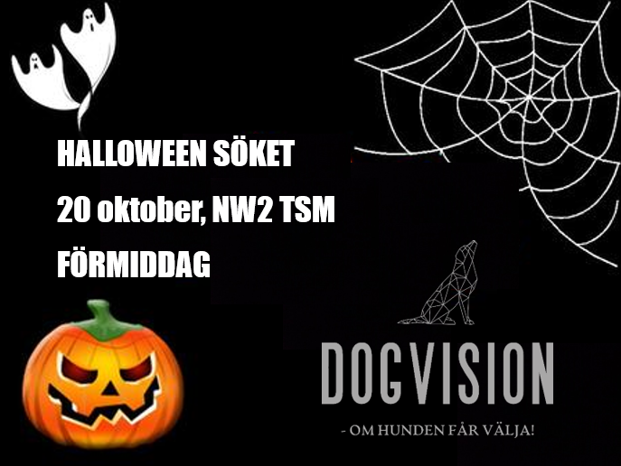 clearround halloween 4 (20 nw2)