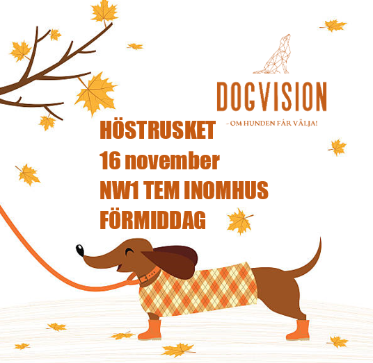 höst 1, f
